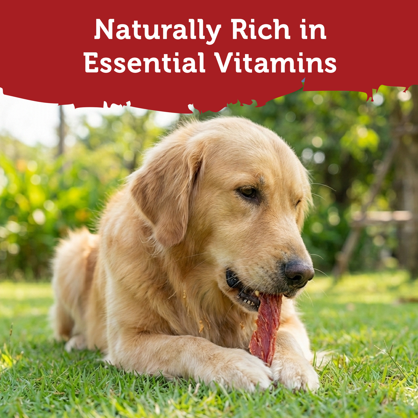 Fuzzl Prime Cuts Natural Duck Breast Dog Treats | 5x200g Pack - Fuzzl Pet