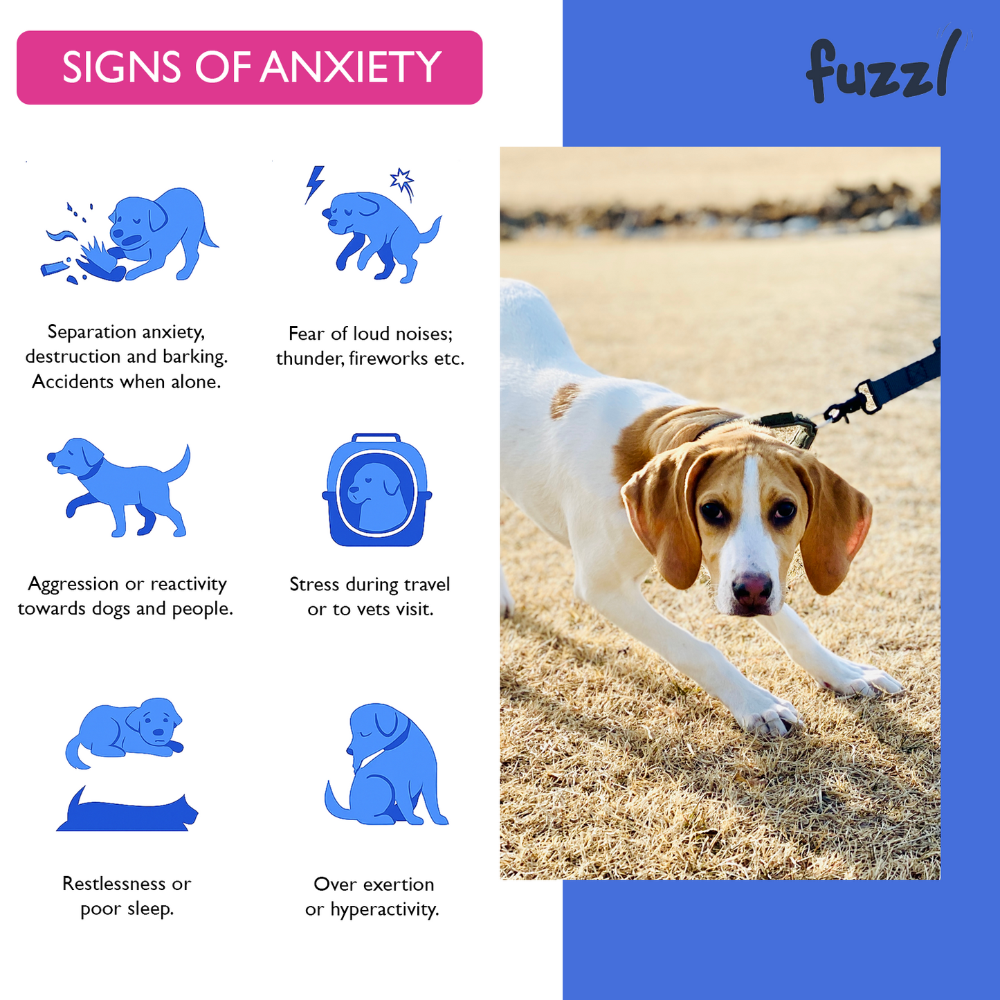 Fuzzl Calming Supplement Treats - Reduce Stress, Fear, barking, - Fuzzl Pet