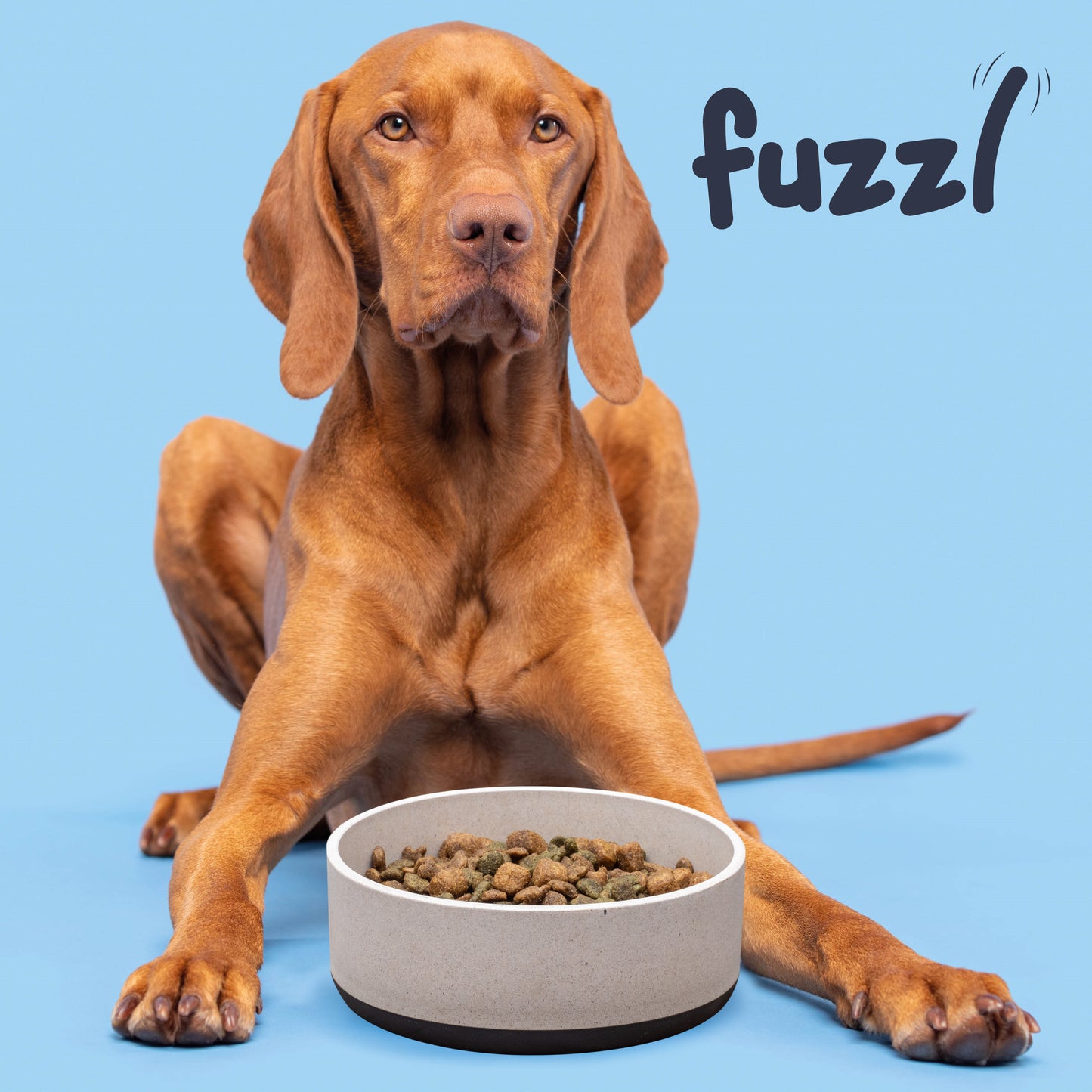 Fuzzl Titan Bamboo & Rubber Base Bowl 22cm with Ultra Grip Base Dog - Fuzzl Pet