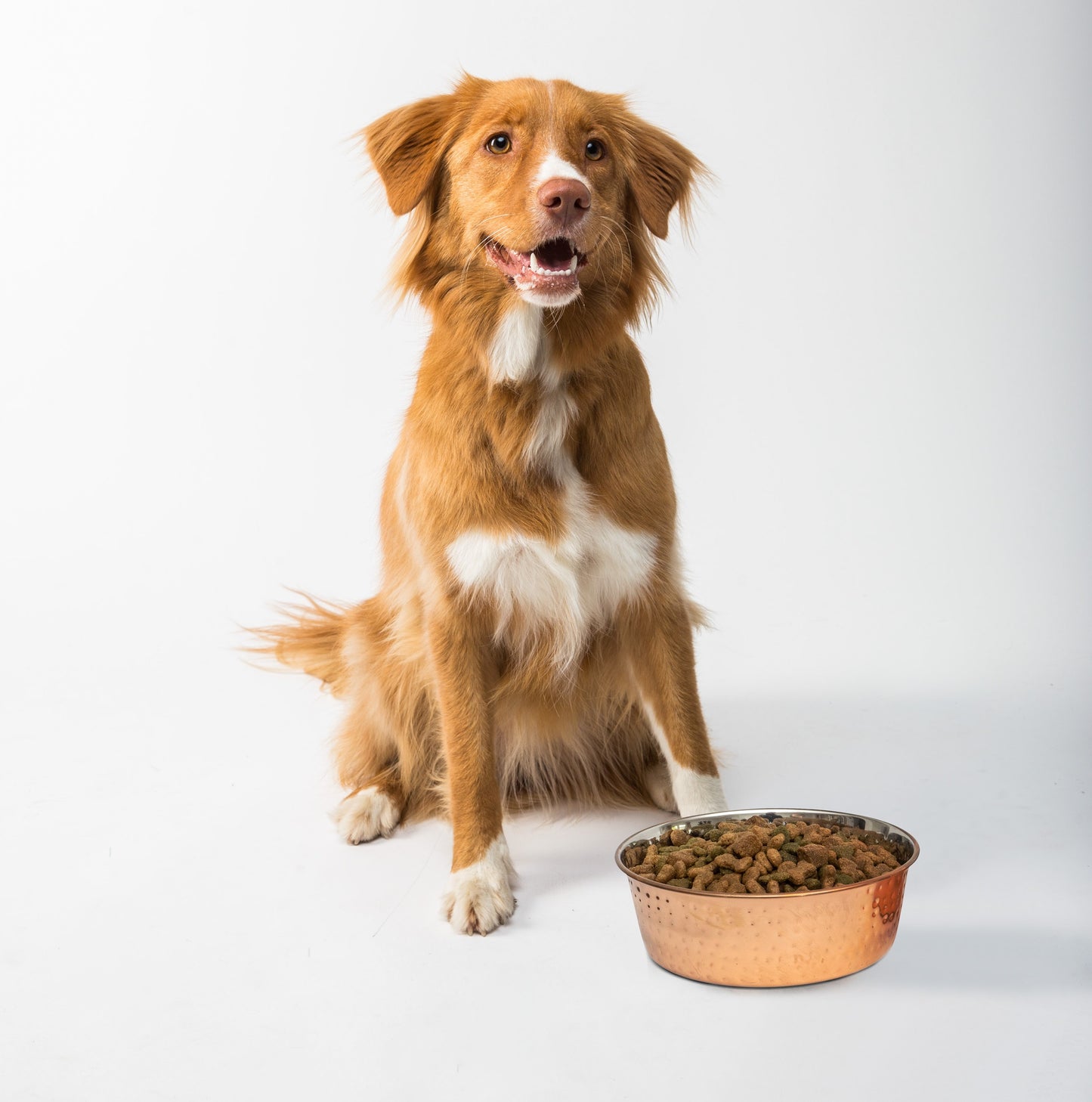 Fuzzl Copper Dog Bowl 17cm Medium - Fuzzl Pet