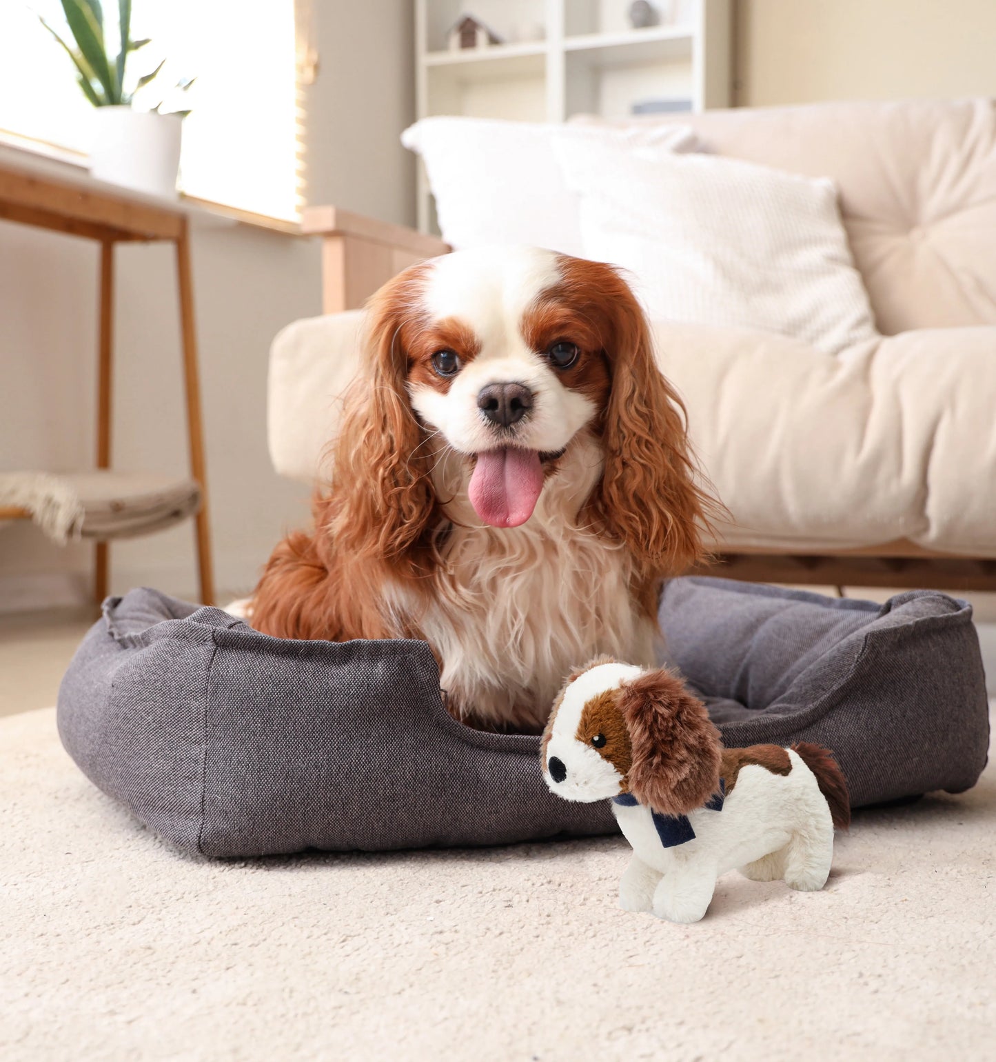 Fuzzl Charlie the King Charles Spaniel Plush Dog Toy and Puppy Toy - Fuzzl Pet