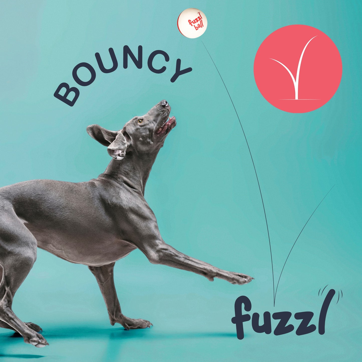 Fuzzl Super Bounce Balls for Dogs - 6 Pack – Durable Dog Toy (6 Pack) - Fuzzl Pet