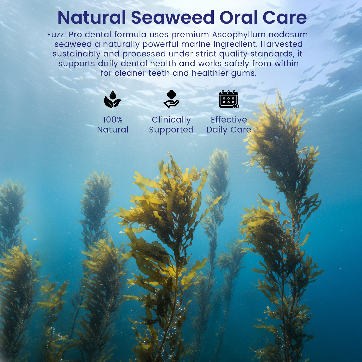 Fuzzl Plaque Powder 170g Pro Max Strength Vet Approved – Advanced