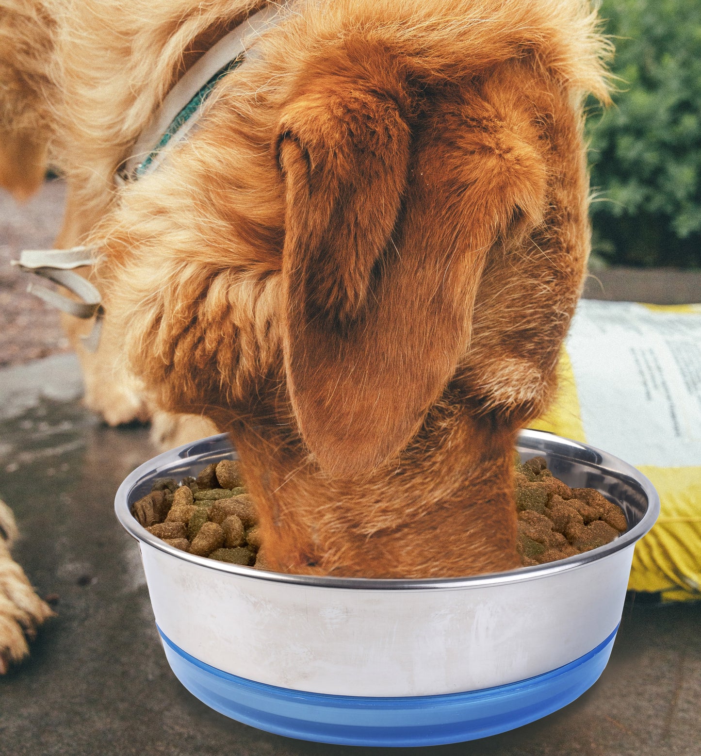 Fuzzl Stainless Steel Dog Bowls - 2 Pack 17cm (2 Pack) - Fuzzl Pet