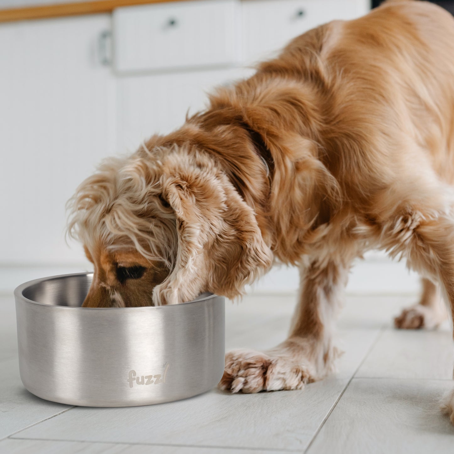 Fuzzl Titan Thermal Bowl 20cm - Brushed Stainless Steel Insultated - Fuzzl Pet