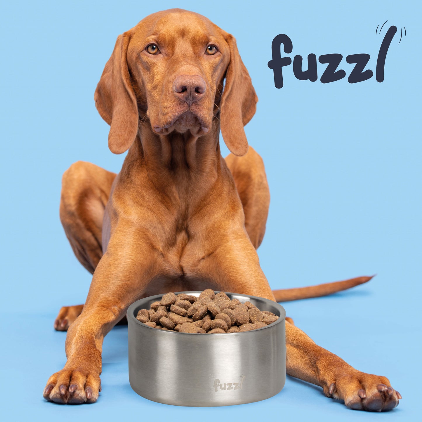 Fuzzl Titan Thermal Bowl 20cm - Brushed Stainless Steel Insultated - Fuzzl Pet