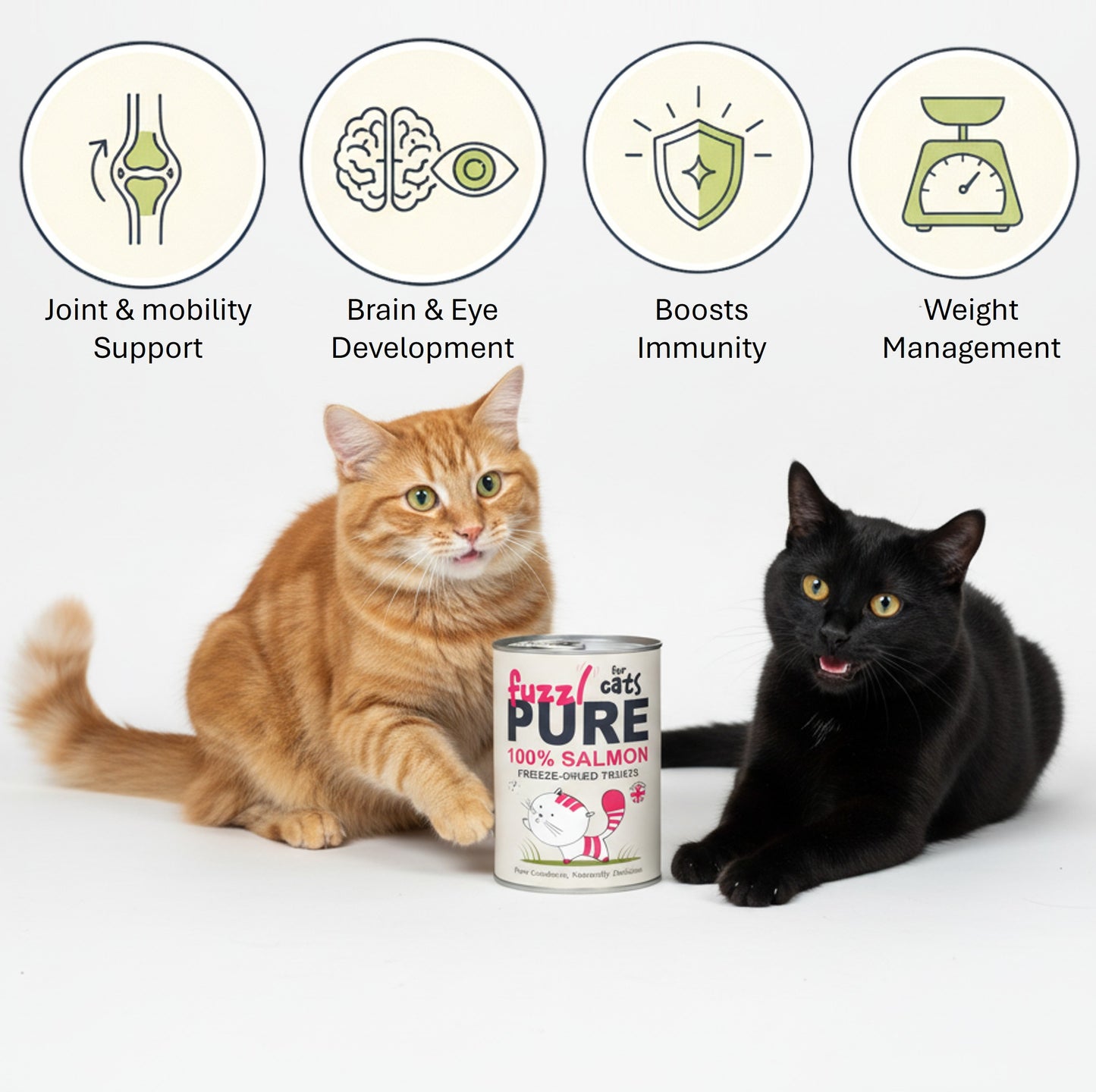 Fuzzl PURE Freeze Dried Salmon Cat 150g Tube - 150g Tube