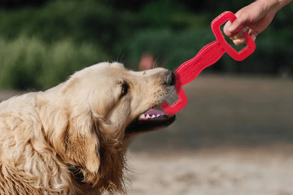 Fuzzl Eco Rubber Tugger – Red Dog Toy – Durable Dog Toy - Fuzzl Pet