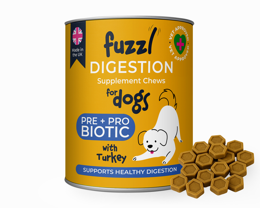 probiotics for dogs gut health