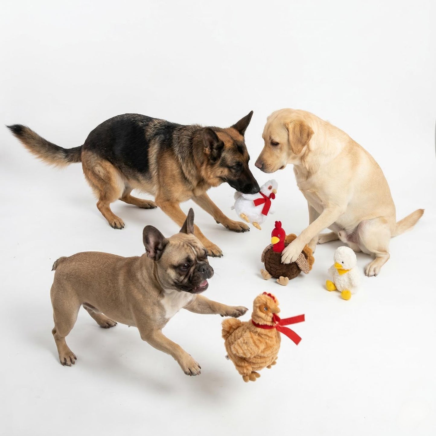 Fuzzl Cheeky Chicken Snow White | Super Soft Plush Squeaky Dog Toy