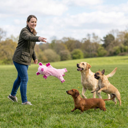 Fuzzl Pickles Pig | Minimal Stuffing Crinkle & Squeak Dog Toy
