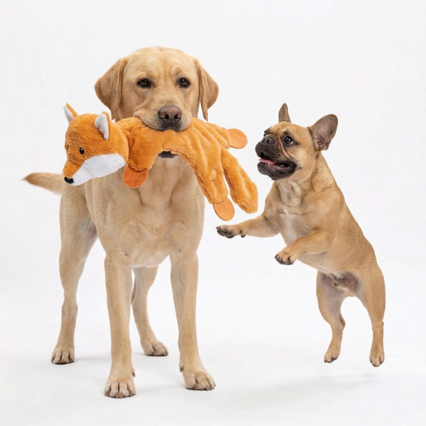 Fuzzl Freddy Fox | Low Stuffing Crinkle & Squeak Dog Toy
