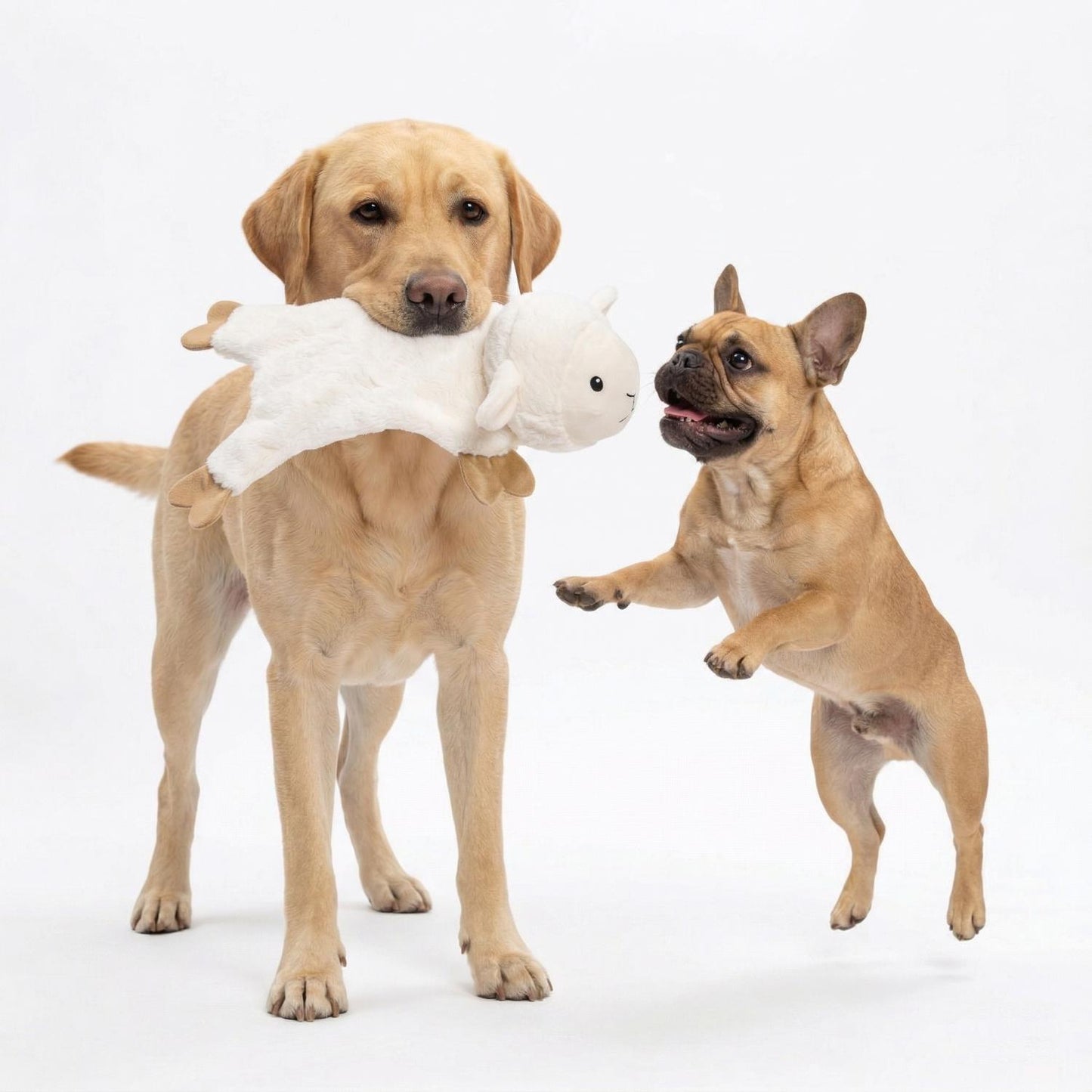 Fuzzl Lola Lamb | Minimal Stuffing Crinkle & Squeak Dog Toy