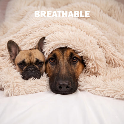 Fuzzl Cloud Blanket | Ultra Soft Calming Pet Blanket Cream 70x100cm