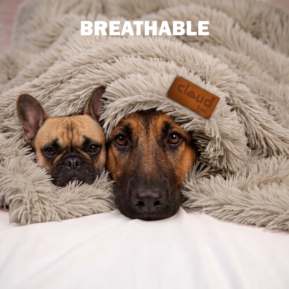 Fuzzl Cloud Blanket | Ultra Soft Calming Pet Blanket Sage 70x100cm