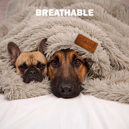 Fuzzl Cloud Blanket | Ultra Soft Calming Pet Blanket Sage 70x100cm