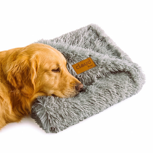 Fuzzl Cloud Blanket | Ultra Soft Calming Pet Blanket Sage 70x100cm