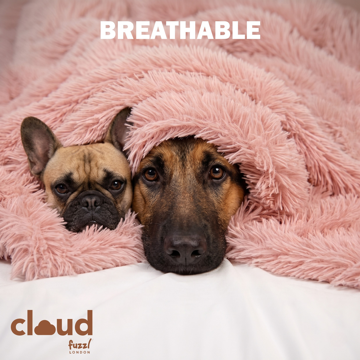 Fuzzl Cloud Comforter Blanket - 70 x 100cm - Blush Pink