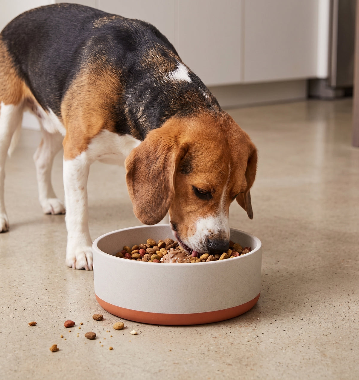 Fuzzl Titan Bamboo Dog Bowl | Ultra-Grip Non-Slip | Terracotta 18cm