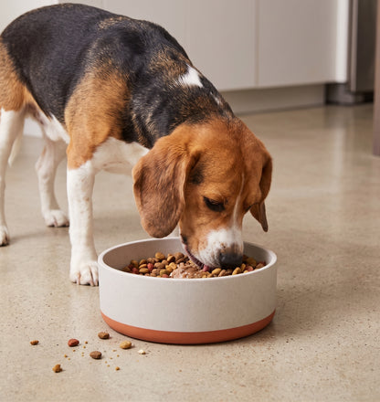Fuzzl Titan Bamboo Dog Bowl | Ultra-Grip Non-Slip | Terracotta 18cm