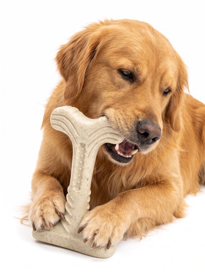 Fuzzl Fill-N-Chew Bamboo & Nylon T-Bone Dog Toy - Bacon Flavour