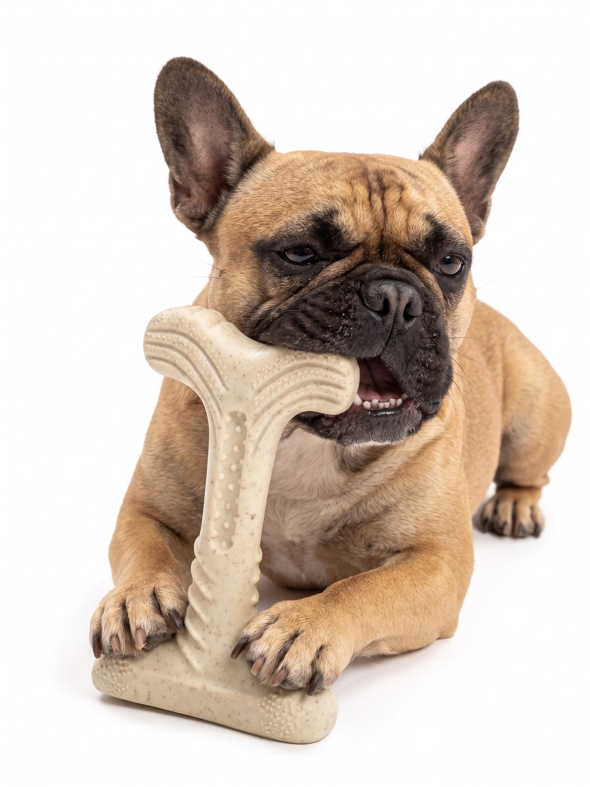 Fuzzl Fill-N-Chew Bamboo & Nylon T-Bone Dog Toy - Bacon Flavour