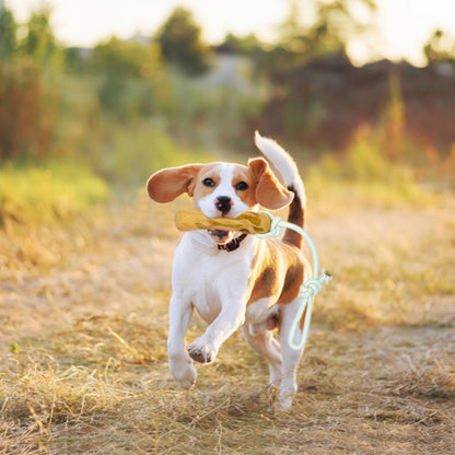 Fuzzl Coffee Stix & Rope Chuckn Dog Toy