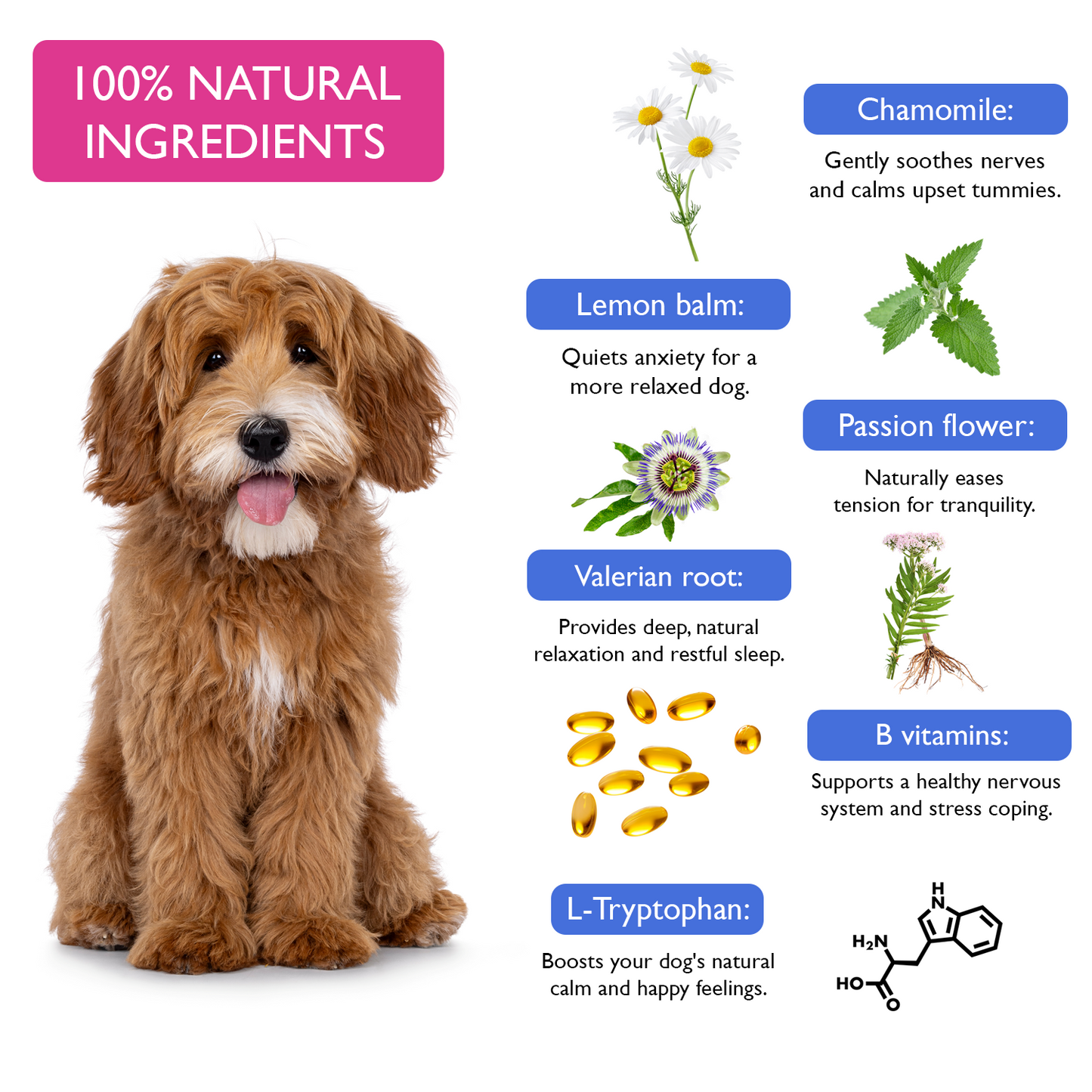 Fuzzl Calming Supplement Treats - Reduce Stress, Fear, barking, - Fuzzl Pet