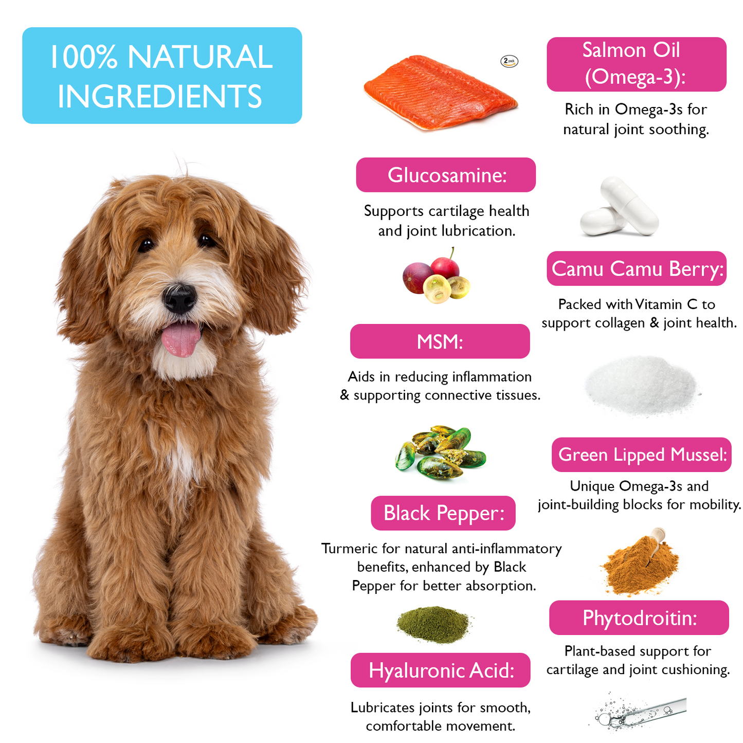 Fuzzl Joint Care Supplement Chews Max Strength - Hip and Joint Aid - Jumbo 180g