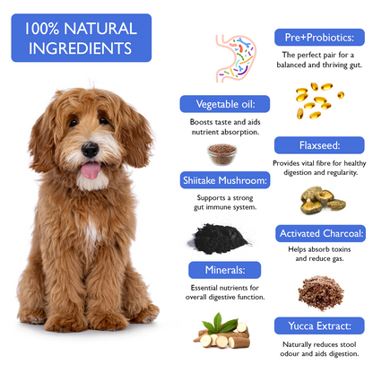 Fuzzl Pre Pro Biotic Digestion Supplement Treats for Dogs - Jumbo 180g