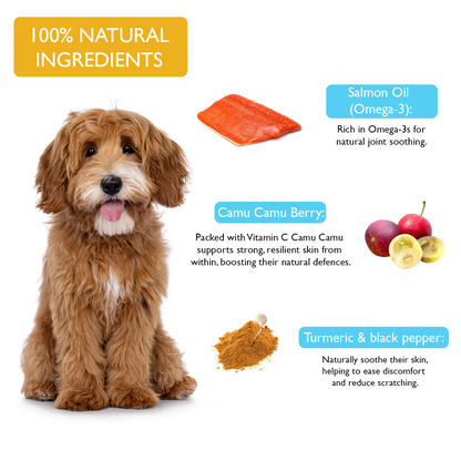 Fuzzl Itchy Skin & Coat Supplement Max Strength 30 Treats - Fuzzl Pet