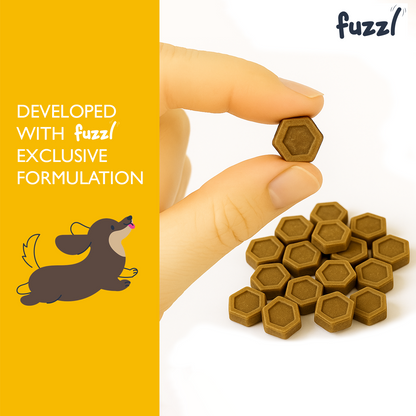 Fuzzl Pre Pro Biotic Digestion Supplement Treats for Dogs - Jumbo 180g