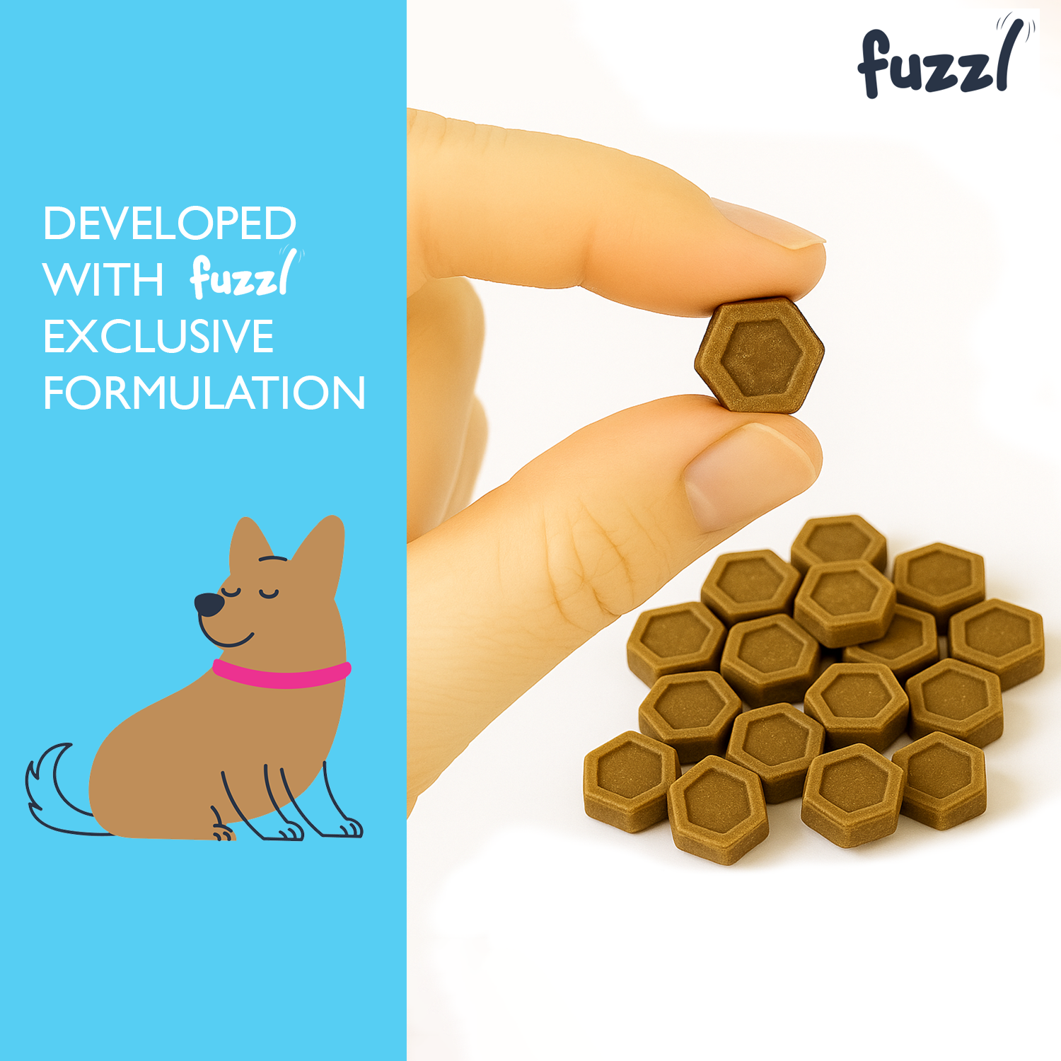 Fuzzl Itchy Skin & Coat Supplement Max Strength 30 Treats - Fuzzl Pet