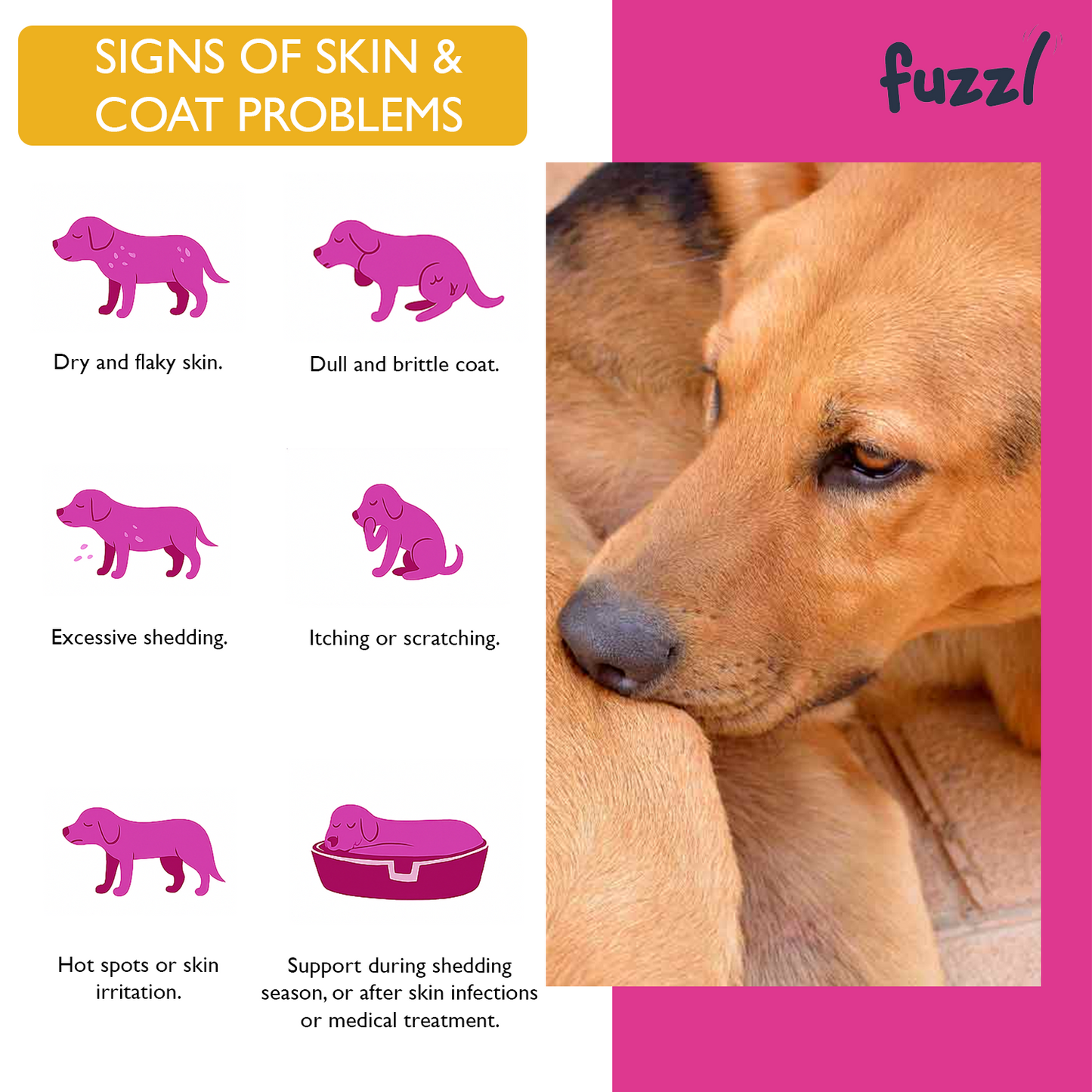 Fuzzl Itchy Skin & Coat Supplement Max Strength - 60 Chews