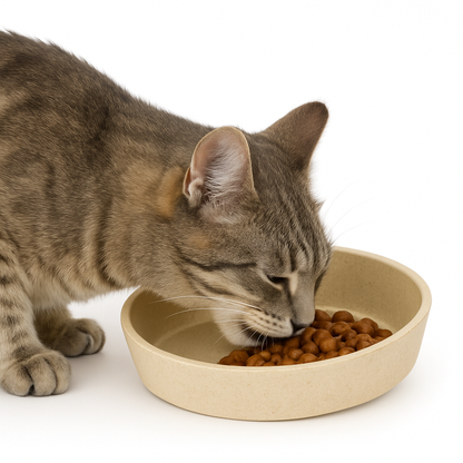 Fuzzl Bamboo Whisker Friendly Cat Bowl with Ultra Grip Base - Stone