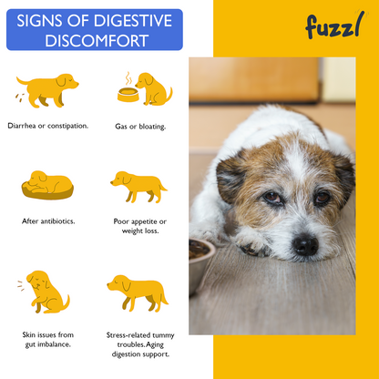Fuzzl Pre Pro Biotic Digestion Supplement Treats for Dogs - Science - Fuzzl Pet