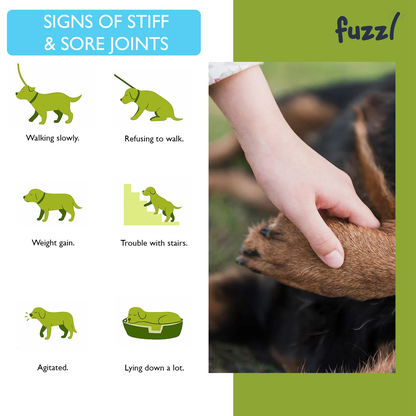 Fuzzl Joint Care Supplement Chews Max Strength - Hip and Joint Aid - Fuzzl Pet