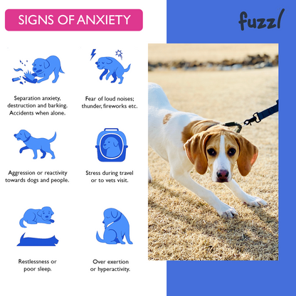 Fuzzl Calming Supplement Treats - Reduce Stress, Fear, barking, - Fuzzl Pet