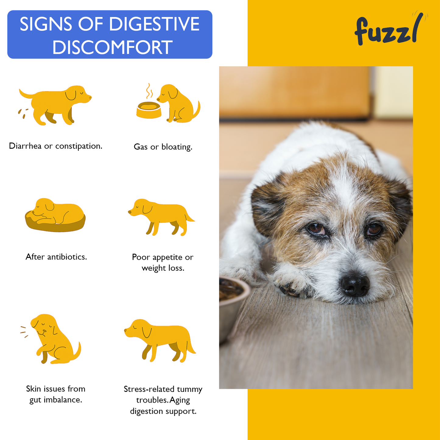 Fuzzl Pre Pro Biotic Digestion Supplement Treats for Dogs - Jumbo 180g