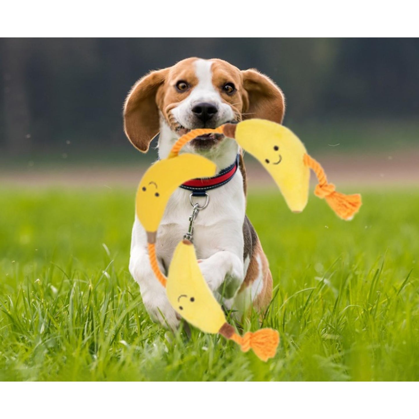 Fuzzl Tugga Bananas Dog Toy - Rope Latex and Plush Dog and Puppy