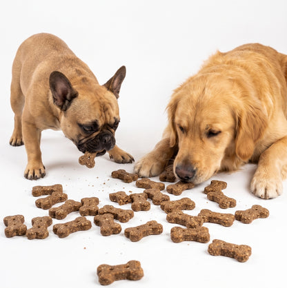 Fuzzl Broth Co. | Beef Bone Broth & Blueberry Dog Treats (1kg Bulk Tub)