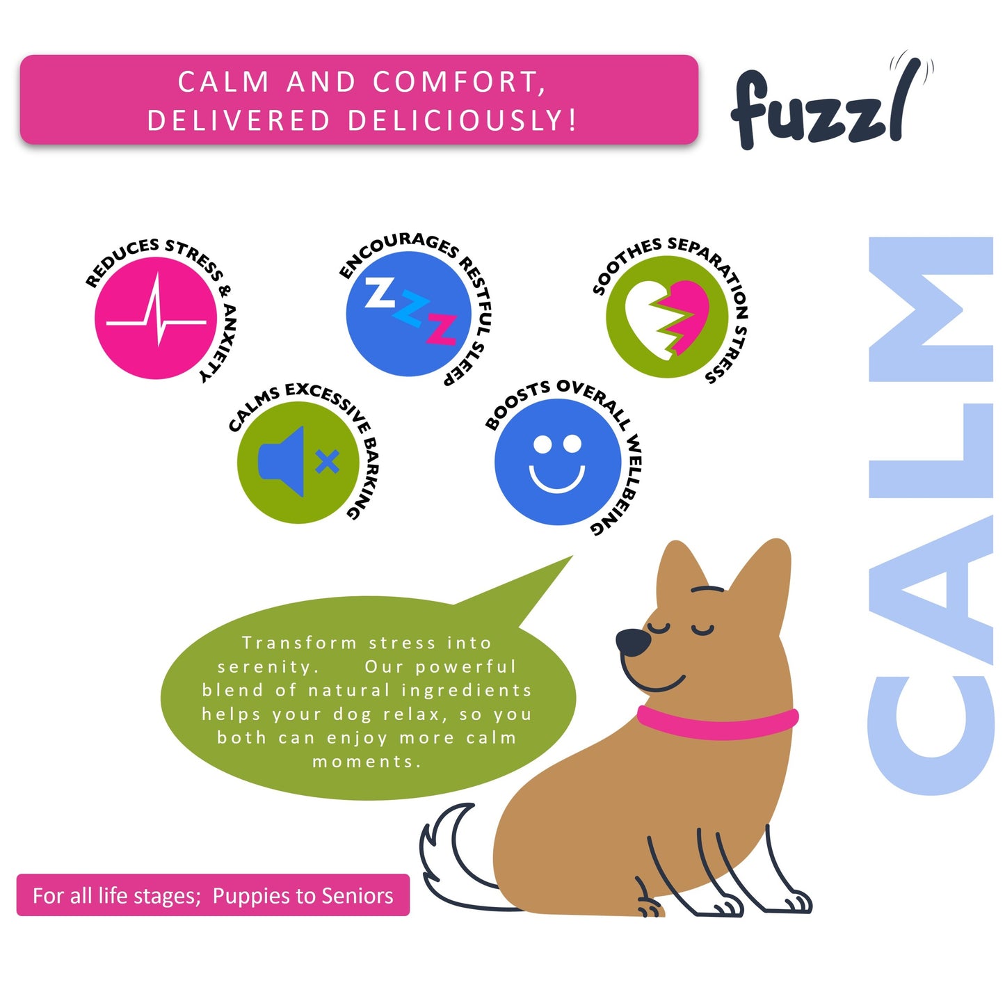 Fuzzl Calming Supplement Treats - Reduce Stress, Fear, Barking - Jumbo 180g