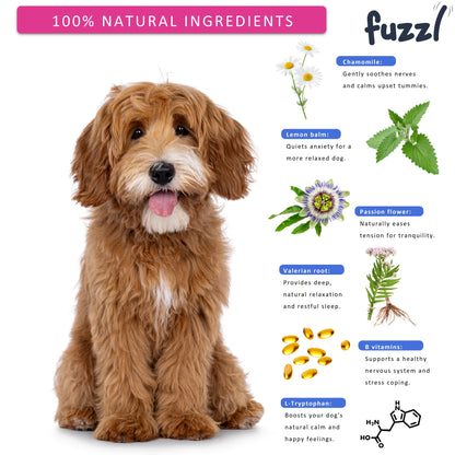 Fuzzl Calming Supplement Treats - Reduce Stress, Fear, Barking - Jumbo 180g