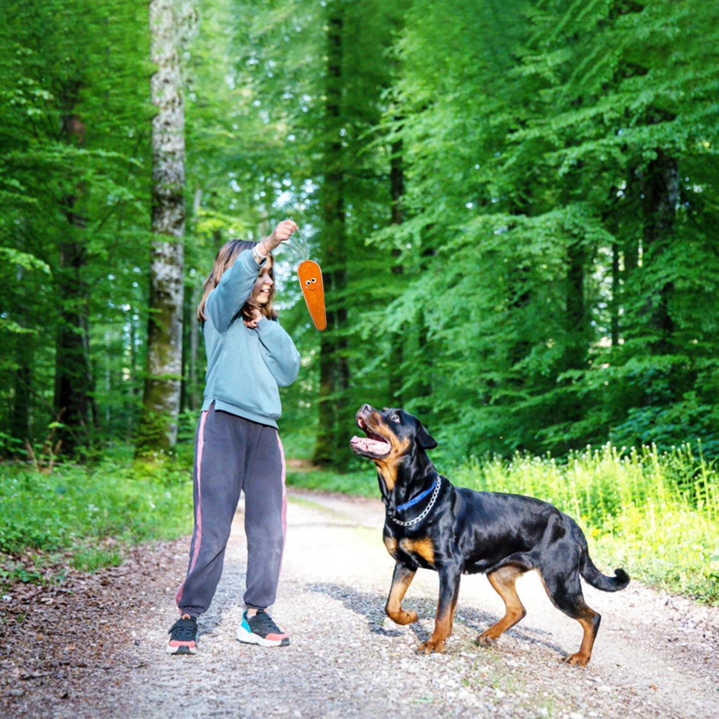 Fuzzl Eco Leather Crazy Carrot and Tough Dog Toy