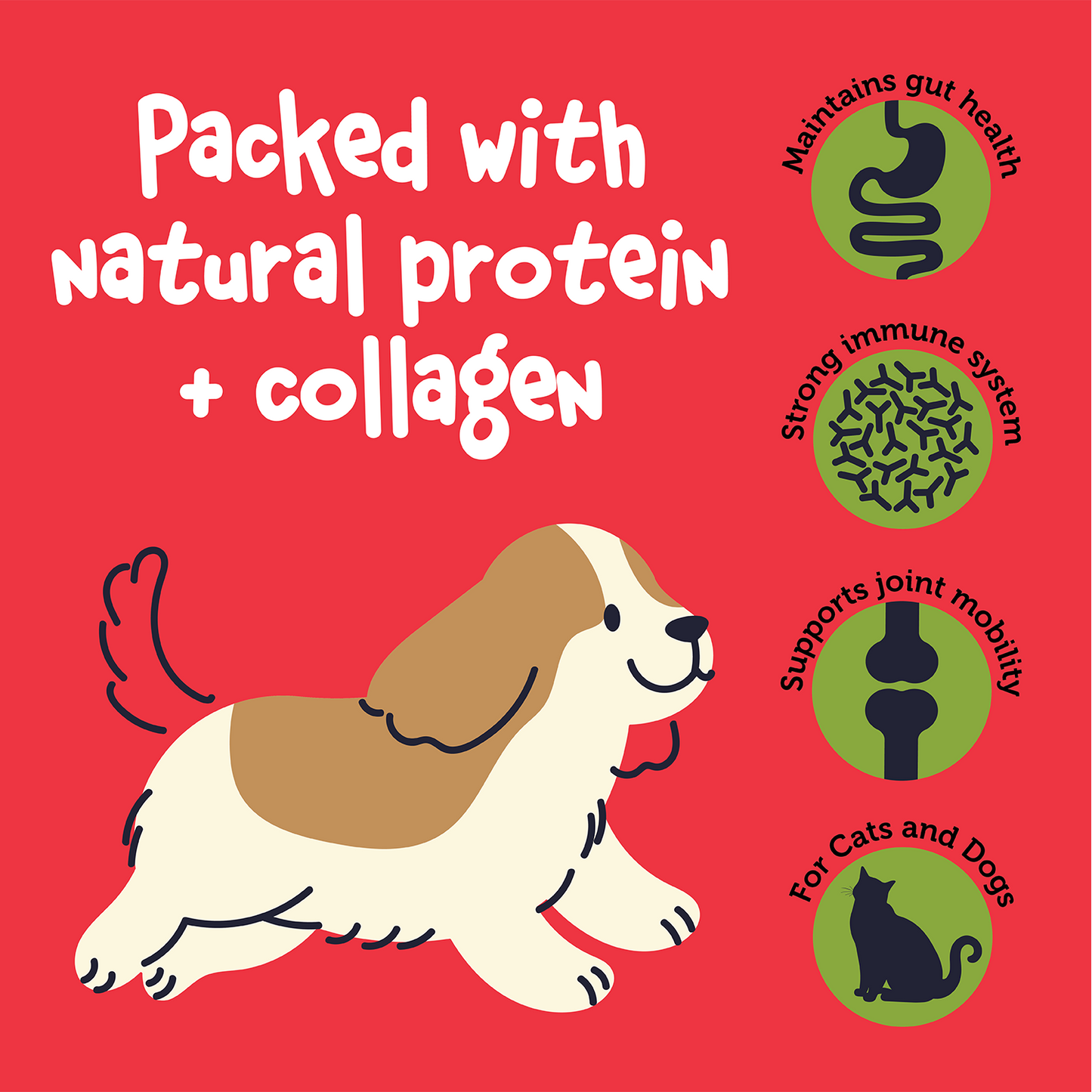 Fuzzl Broth Co. Beef Bone Broth for Dogs 250g