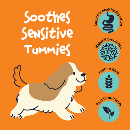 Fuzzl Pumpkin Powder for Dogs 250g | Digestive Support Supplement - Fuzzl Pet