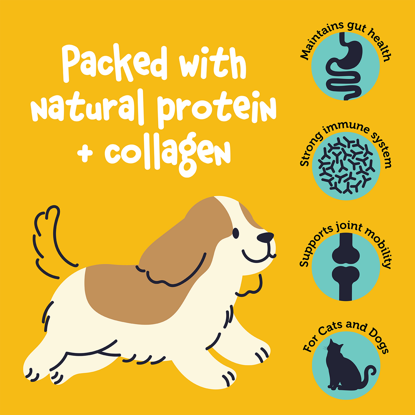 Fuzzl Broth Co. Chicken Bone Broth for Dogs 100g