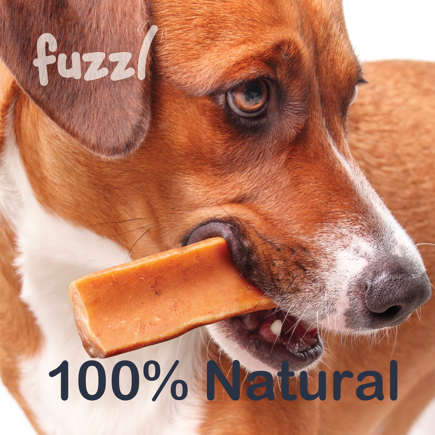 Fuzzl Himalayan Yak Chews Medium 2-Pack | Blueberry & Strawberry