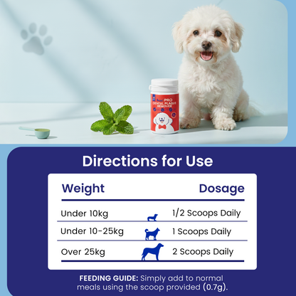 Fuzzl Plaque Powder 170g Pro Max Strength Vet Approved – Advanced