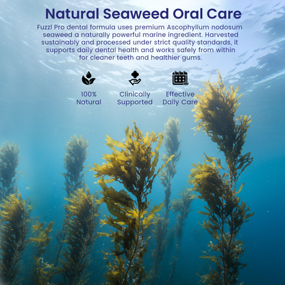 Fuzzl Plaque Powder 170g Pro Max Strength Vet Approved – Advanced